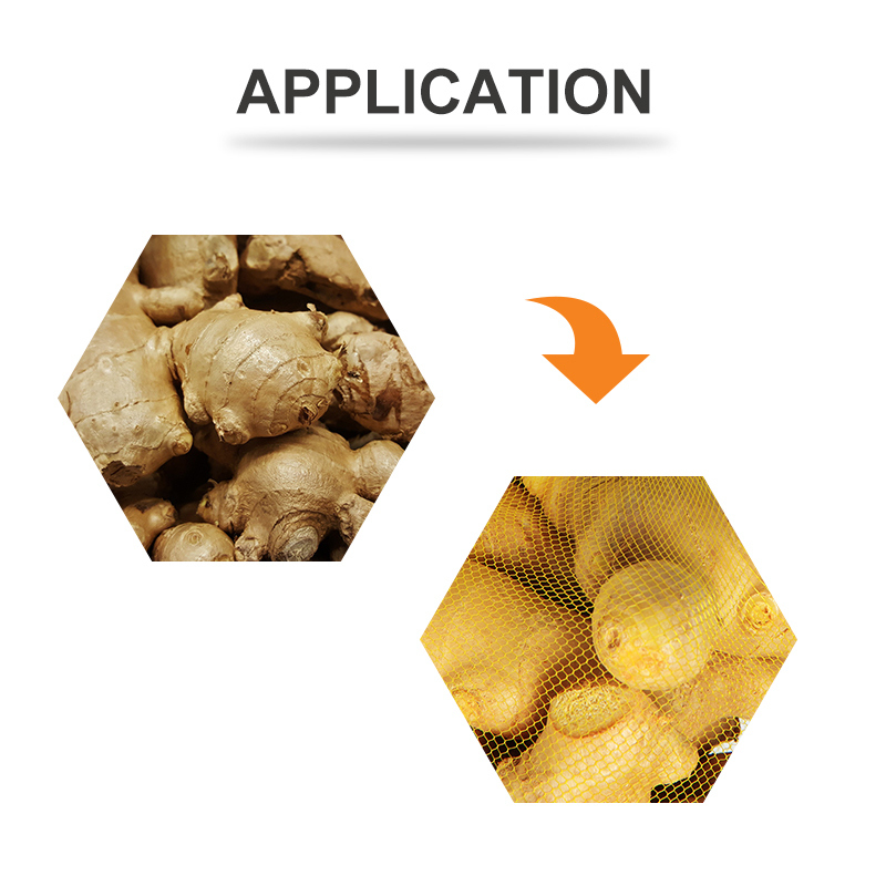 دستگاه بسته‌بندی توری برای بسته‌بندی پیاز، سیر و سیب‌زمینی TOUPACK PP