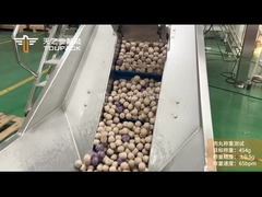 سیستم وزن و بسته بندی توپ گوشت منجمد TOUPACK