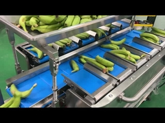 کارخانه صنعت نیمه اتوماتیک شبکه کیسه وزن شمارش شبکه برش بسته بندی بسته بندی ماشین