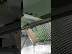 دستگاه بسته بندی سالاد چند سر