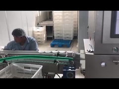 دستگاه بازرسی اشعه ایکس الکترونیک اتوماتیک برای صنعت مواد غذایی