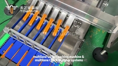 دستگاه بسته بندی صنعتی چند خط با چک وزن چند خط