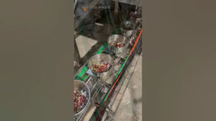 دستگاه بستهبندی مواد غذایی طوطی، غذای حیوانات خانگی، VFFS، آجیل، گرانول، میوه خشکشده انجمادی برای میوههای خشک