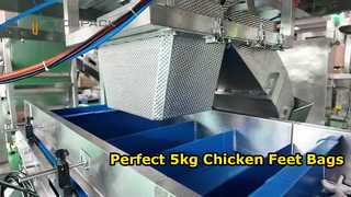 خط توزین و بسته بندی خودکار پای مرغ (کیسه های 5 کیلوگرمی)